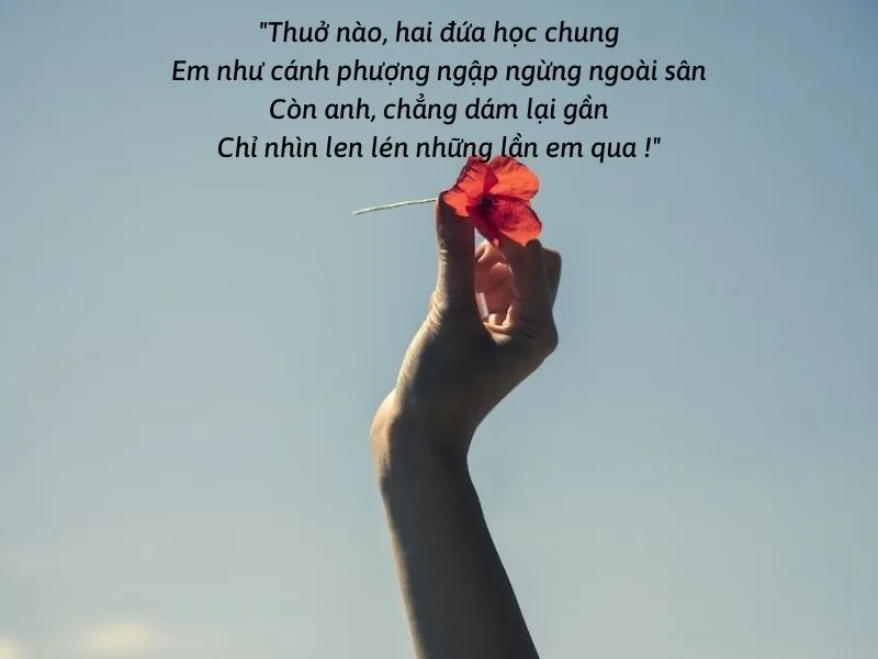 Bài thơ tình yêu buồn