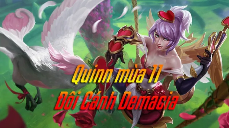 Cách lên đồ Quinn