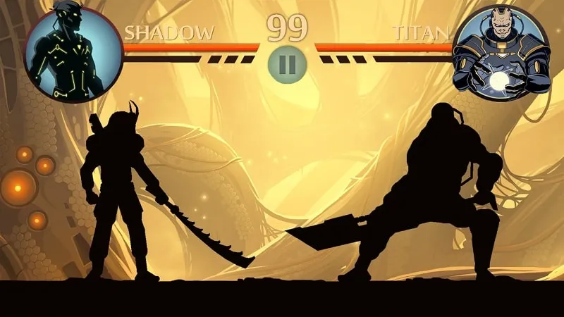 Shadow Fight 2 mod level