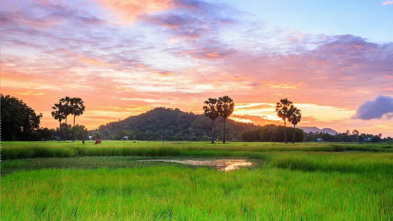 thơ về quê hương đất nước