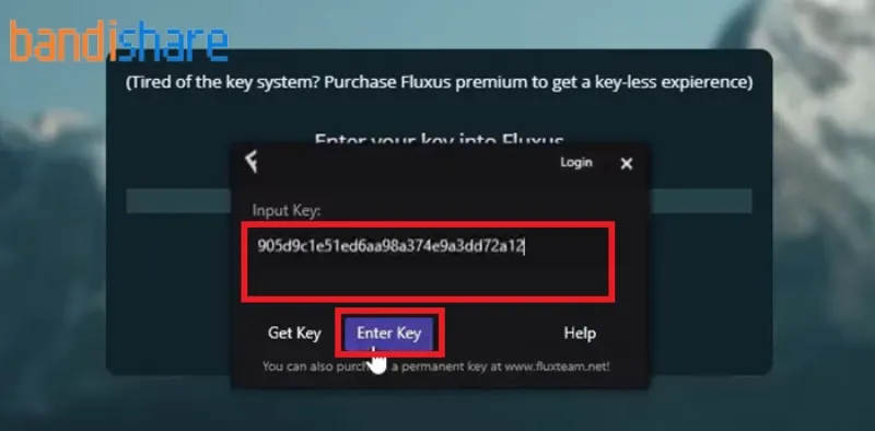 Nhập Key vào Fluxus