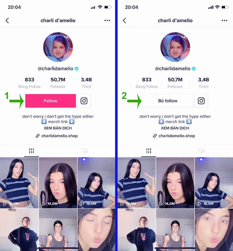 hack theo dõi tiktok miễn phí